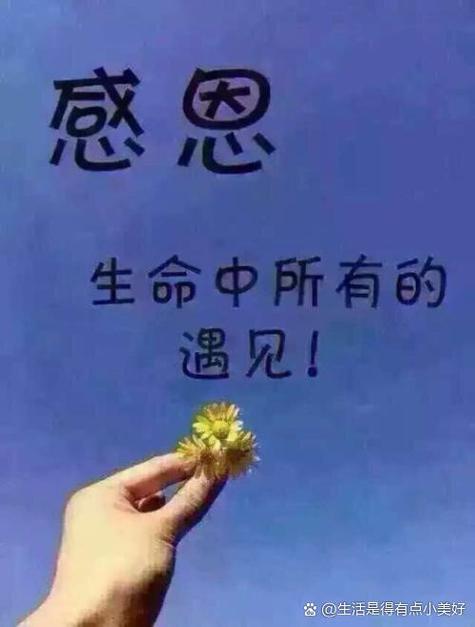 心灵的寄托情感的依靠什么意思