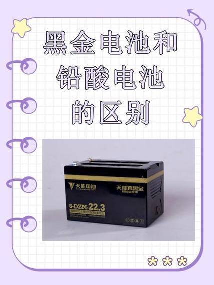 绿源黑金电池价格表图标