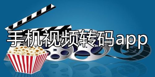视频用哪个转码小而清晰