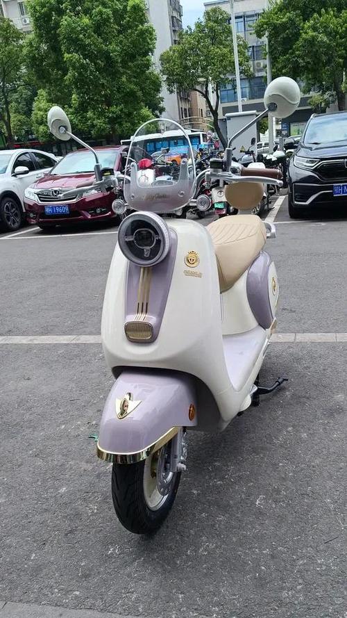 电瓶车台铃的属于名牌吗
