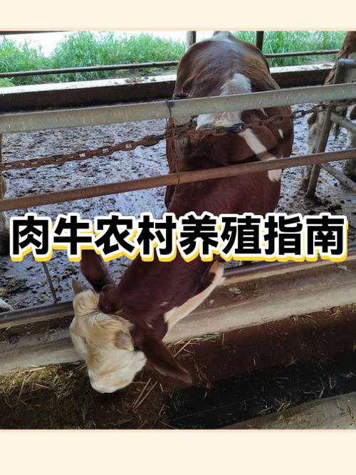 农村养殖什么好养又赚钱又好卖