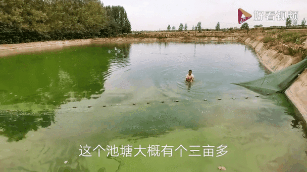 超级大鱼塘单多吗截图
