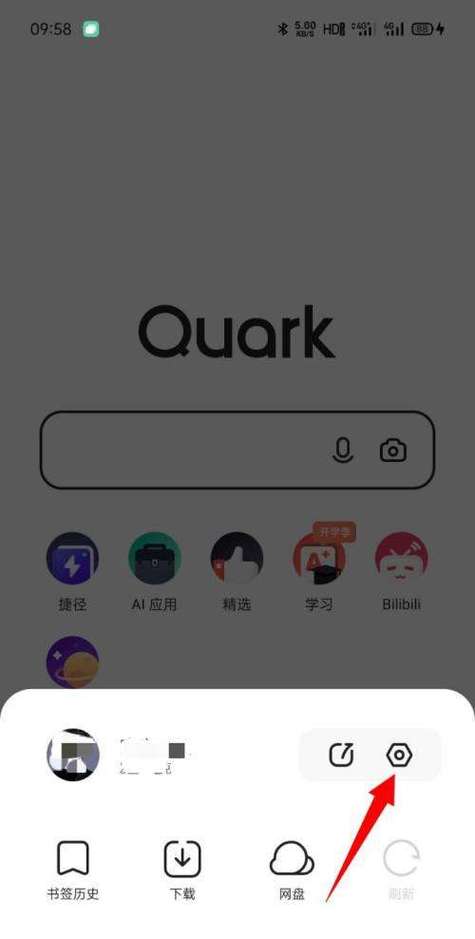 苹果手机阻止cookie用不用关