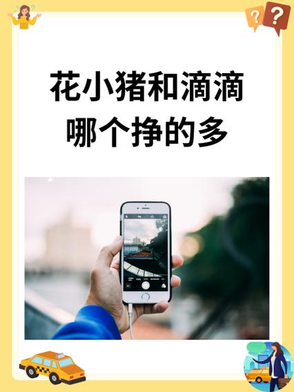 花小猪司机一单赚多少