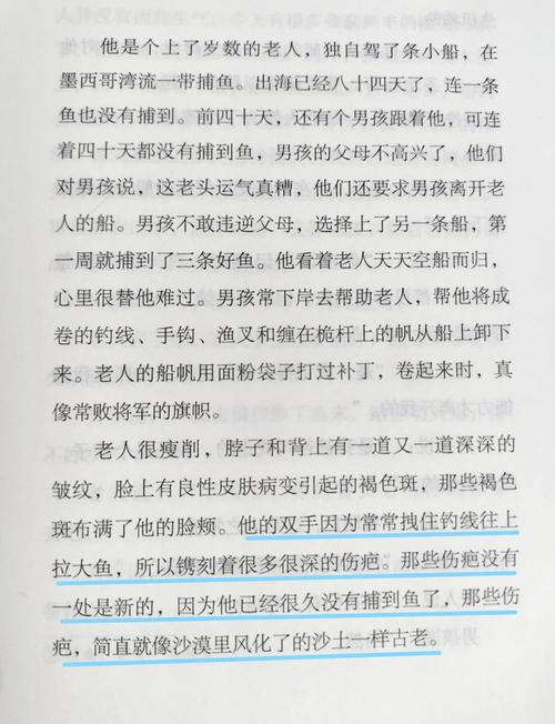 坏老人阅读第九章截图