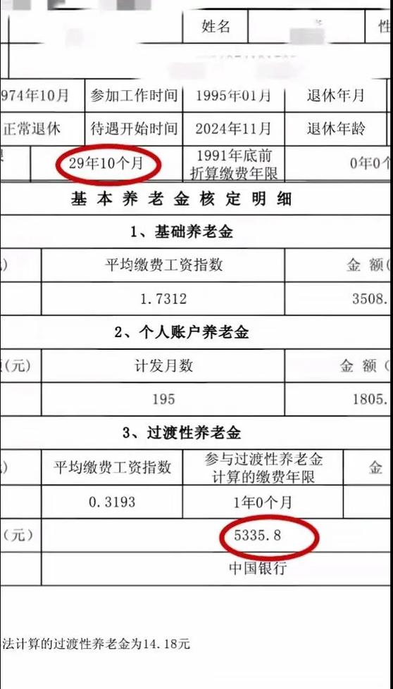 个人缴费指数查询表截图