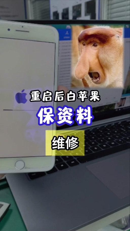 爱思助手快速刷机会保存资料吗截图
