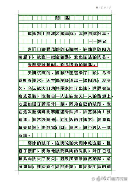 中考记叙文