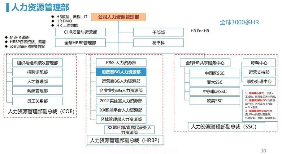 华为人才