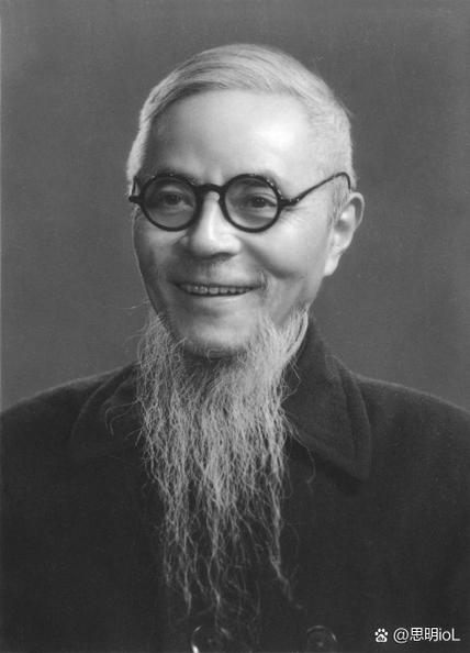 丰子恺《杨柳》阅读答案