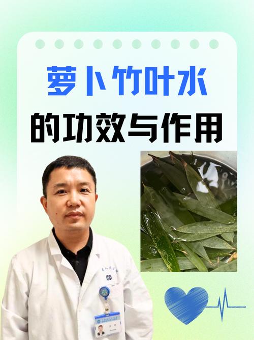 白萝卜竹叶水的功效与作用缩略图