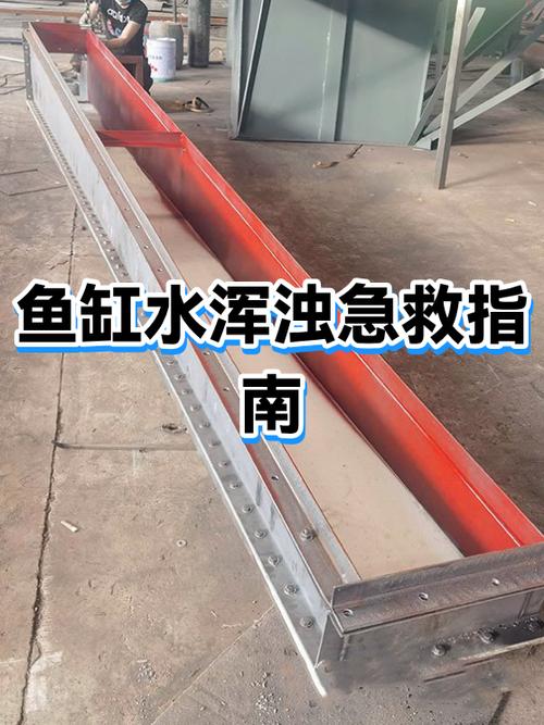 大鱼缸水浑浊原因和解决方案截图