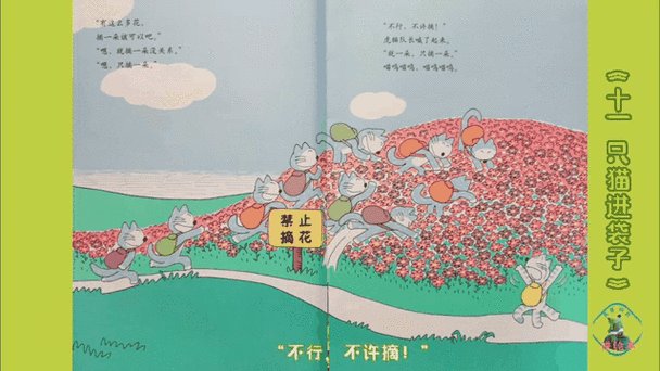 十一只猫的故事原文