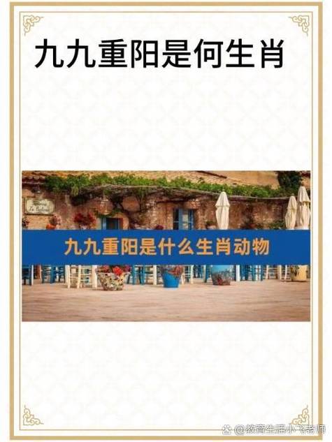 九九重阳打一最佳生肖截图