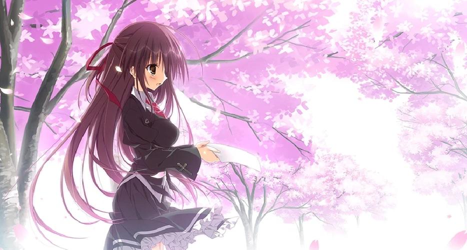 樱之诗10周年汉化版