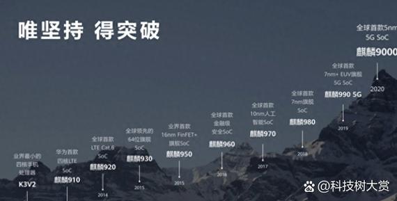 华为设备芯片已损坏是什么原因