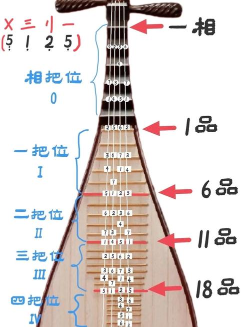 琵琶1—4弦调音D调