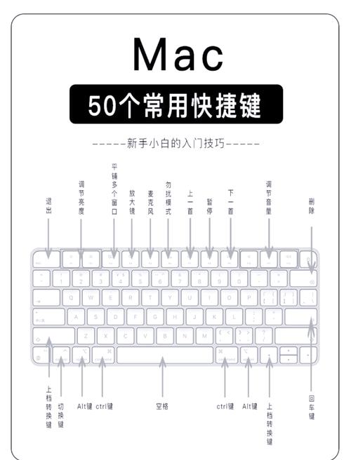 笔记本鼠标触摸板锁定快捷键游戏截图