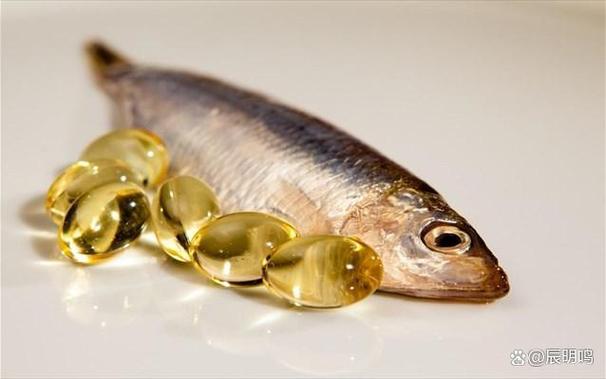 Omega3最强十大鱼类截图