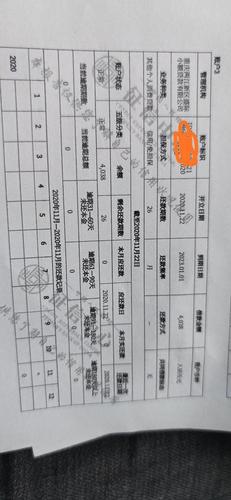 打征信白条会出来吗截图