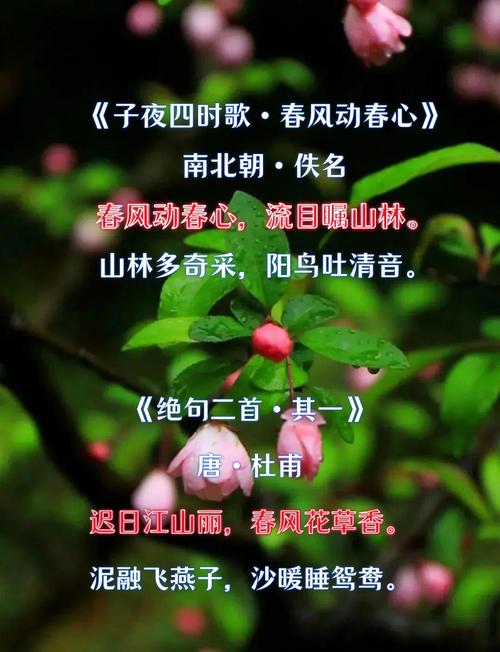春风十里诗句完整版截图