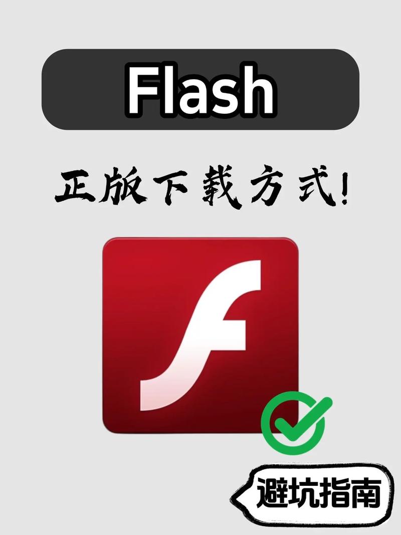 flash安装失败解决方法图标