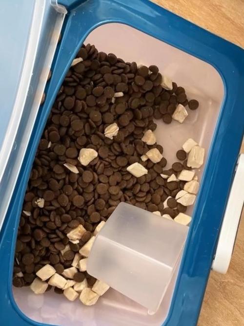 猫不吃猫粮可以饿几天缩略图