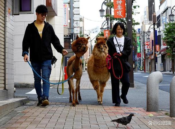 日本人的日常生活