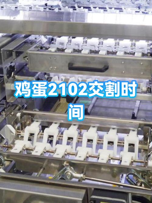 鸡蛋交割新规则图标