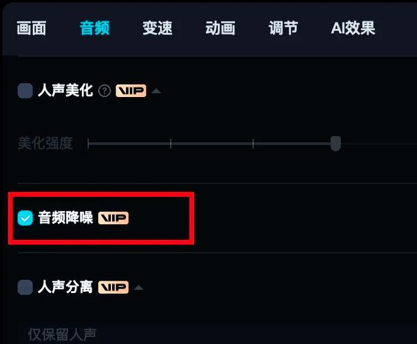 剪映专业版降噪在哪里