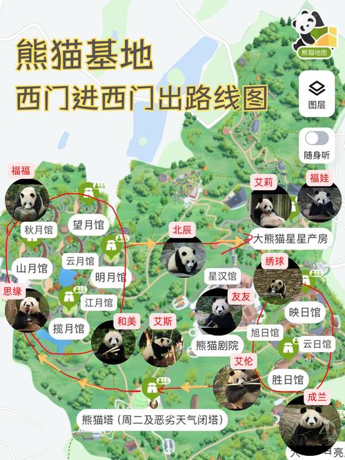 四川大熊猫基地在哪个位置