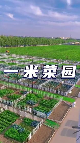 一米菜园app沈阳