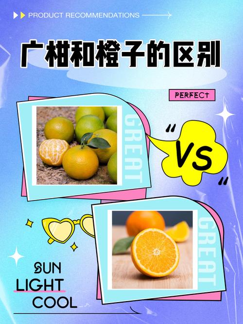 广柑和橙子的区别缩略图