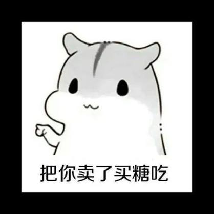 仓鼠hamham截图
