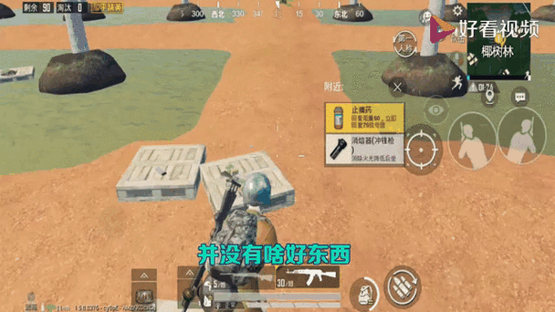 和平精英椰树林