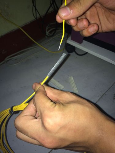 光纤拔了重新插怎么没网了