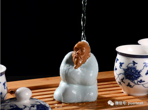 茶宠一般养多久认主人