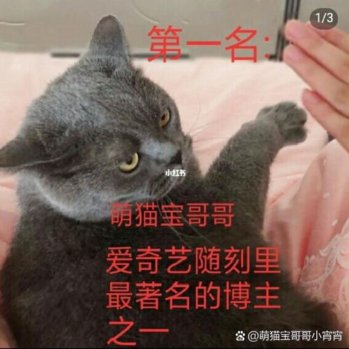 我的姐姐0.8攻略详细步骤