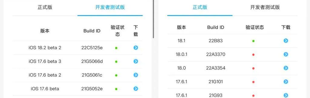 开发者测试版养老