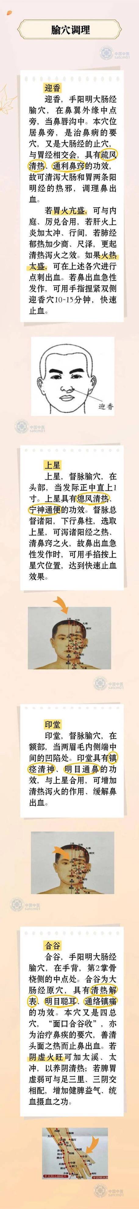 按哪个部位止鼻血