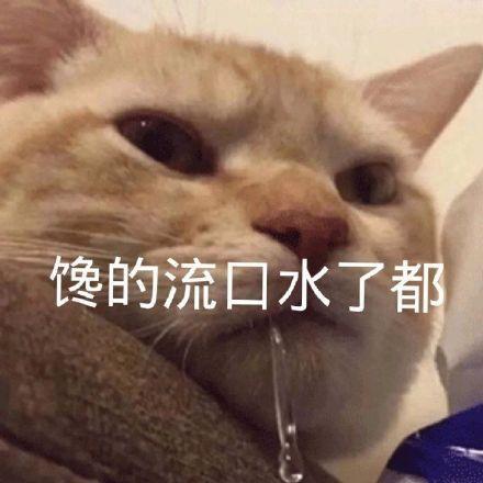 馋了 表情包