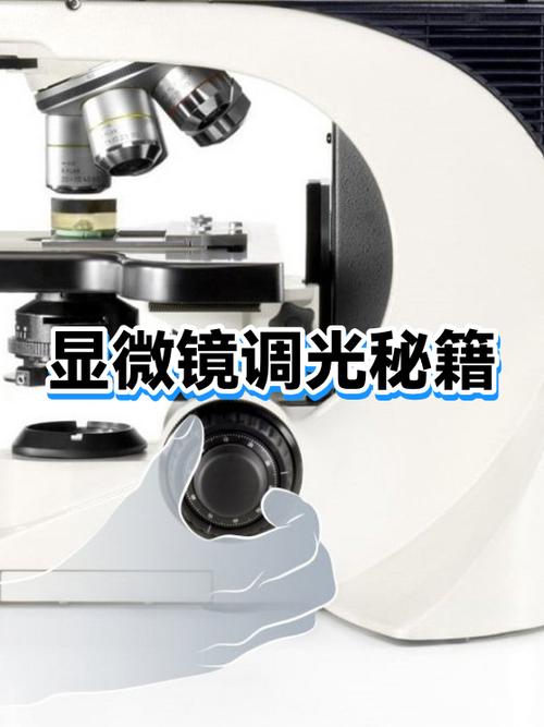 倍镜怎么调左右上下视频