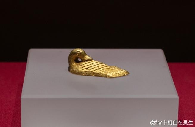 金鸭是什么意思