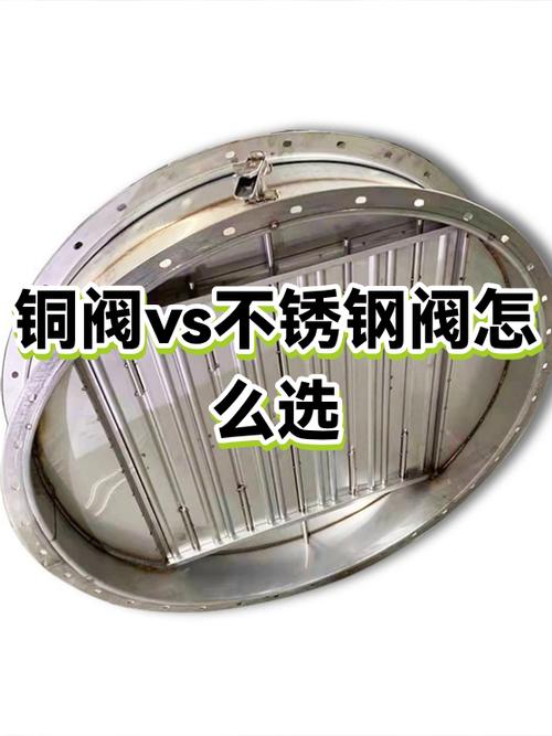 铜与不锈钢哪个好