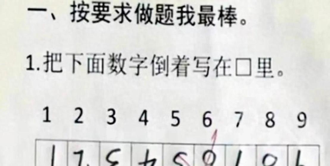 最牛小学生答题