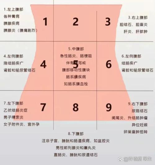 肠子疼一阵一阵的绞痛吃什么药图标