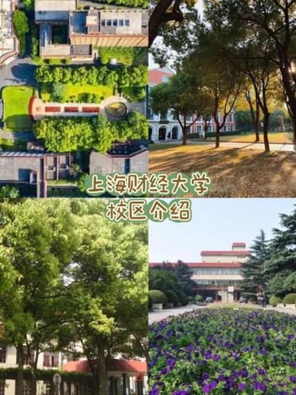上财门户网页版