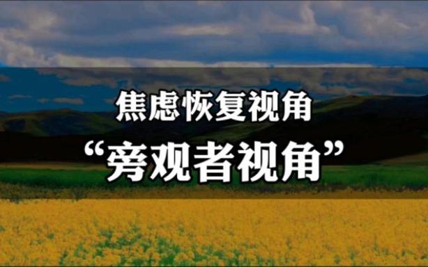 旁观者视角