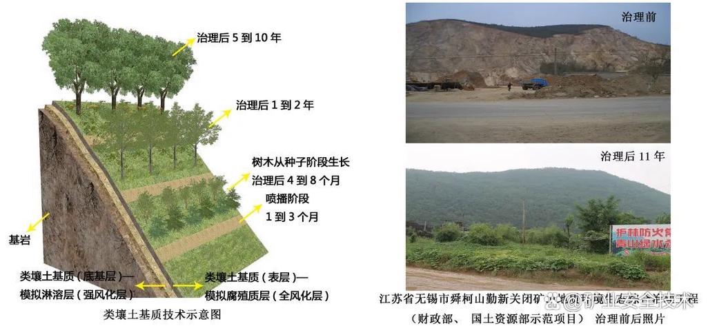 生态修复的五种类型