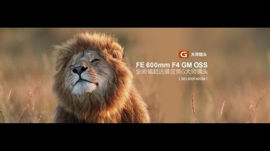 索尼600mm定焦镜头